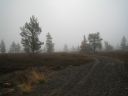 nebel auf dem weg zur sammaltunturi station